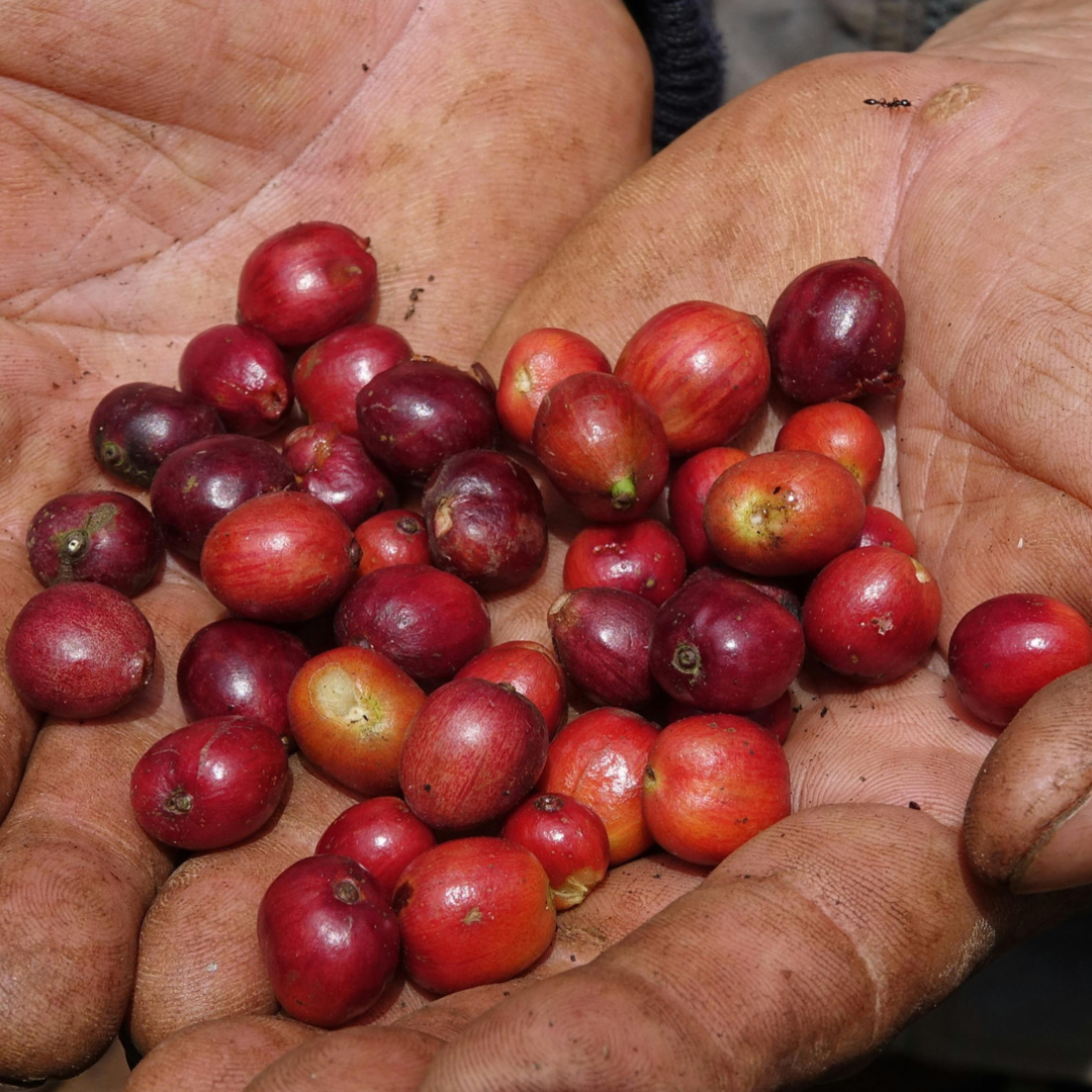 Why Fair Trade Matters To Us, And Why We've Worked Hard To Ensure This
